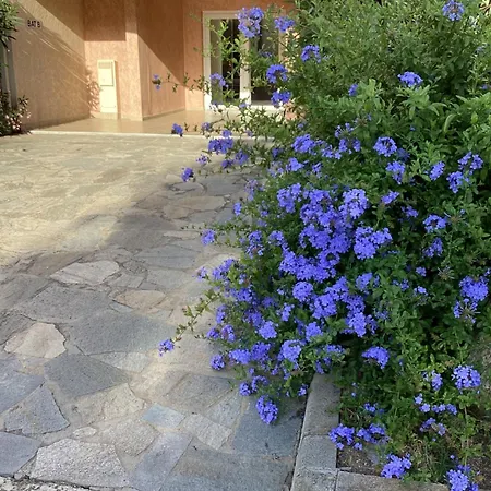 Santa Maria Poggio 아파트 *